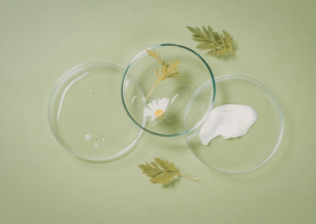 Homemade Face Packs.Homemade face packs for a simple and refreshing skincare routine.
